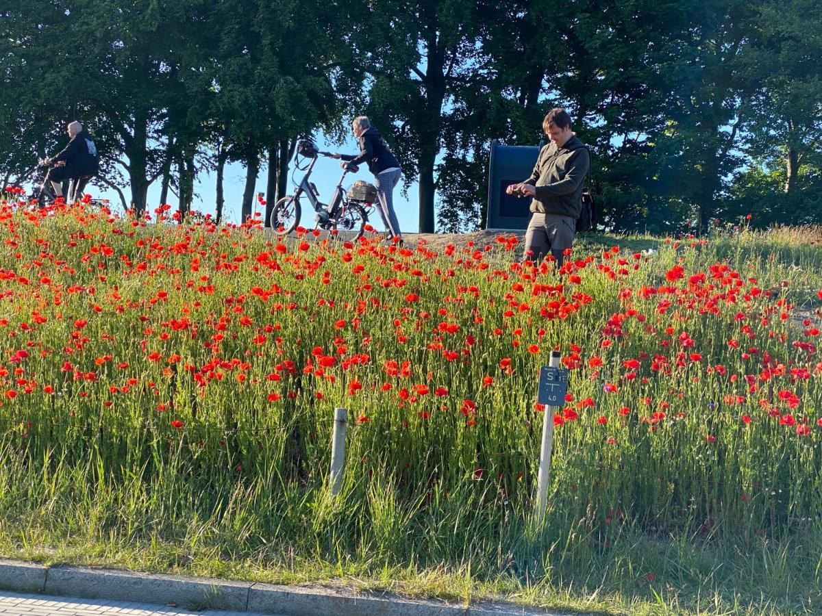 Fewo Tini am Strandzugang mit WLAN inklusive Ostseeheilbad Ostseeheilbad Zingst Exterior foto